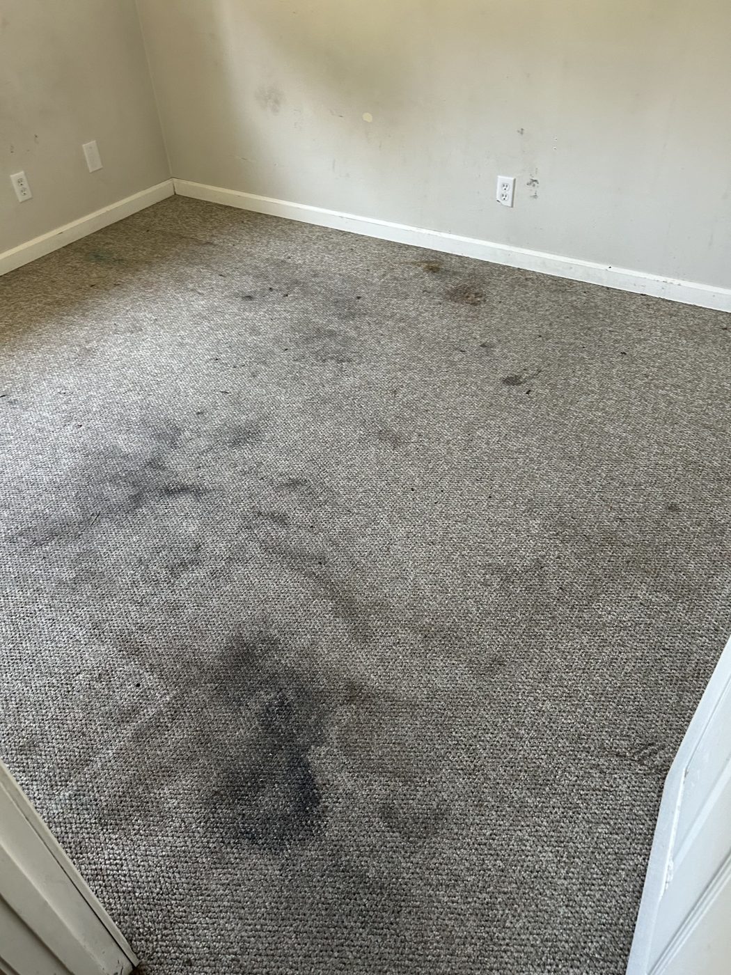 Bedroom carpet with dark traffic stains before cleaning