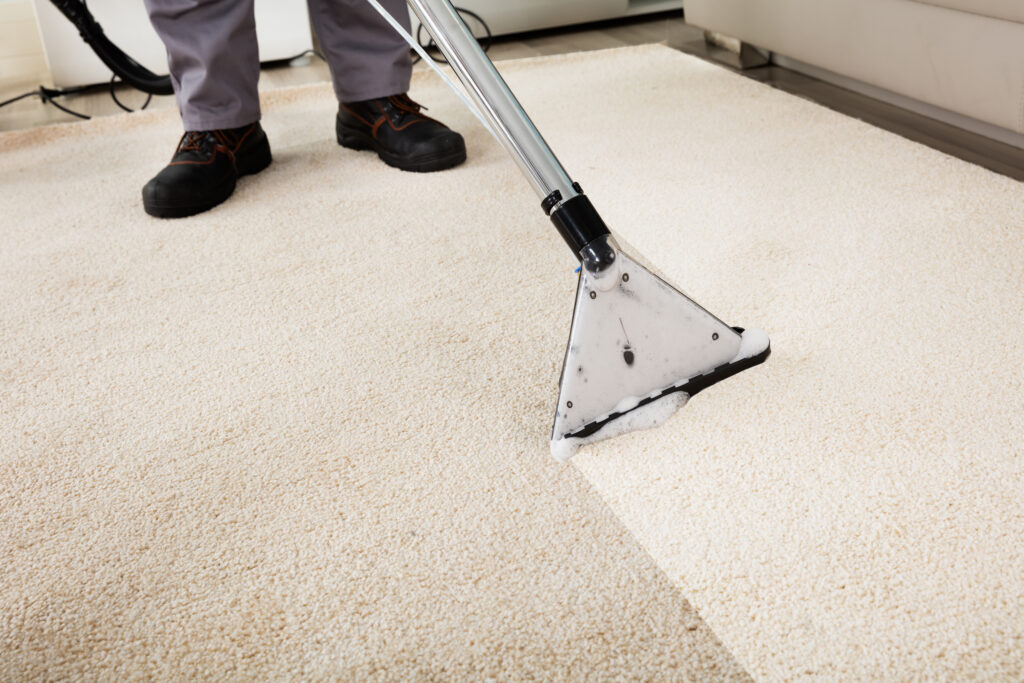 Deep Carpet Cleaning/ Stain Removal 