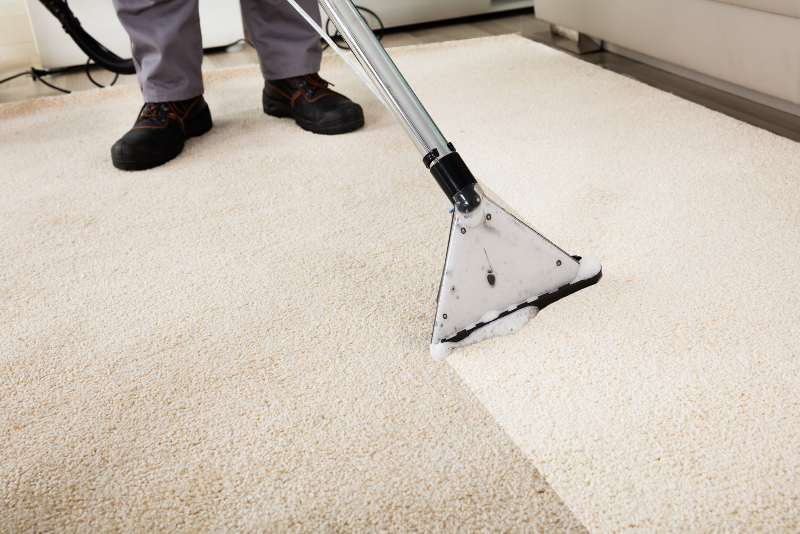 Deep Carpet Cleaning/ Stain Removal
